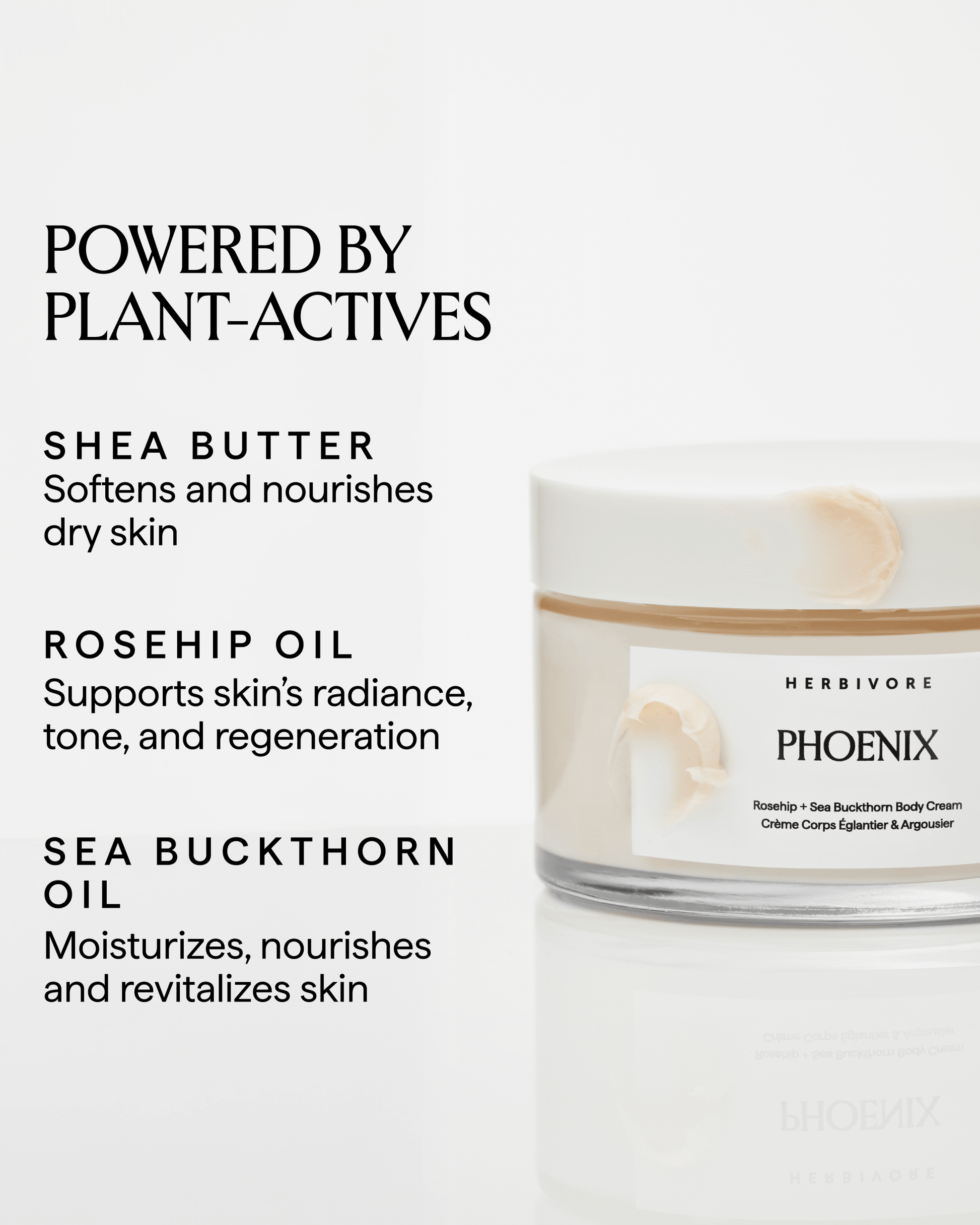 PHOENIX Rosehip + Sea Buckthorn Body Cream